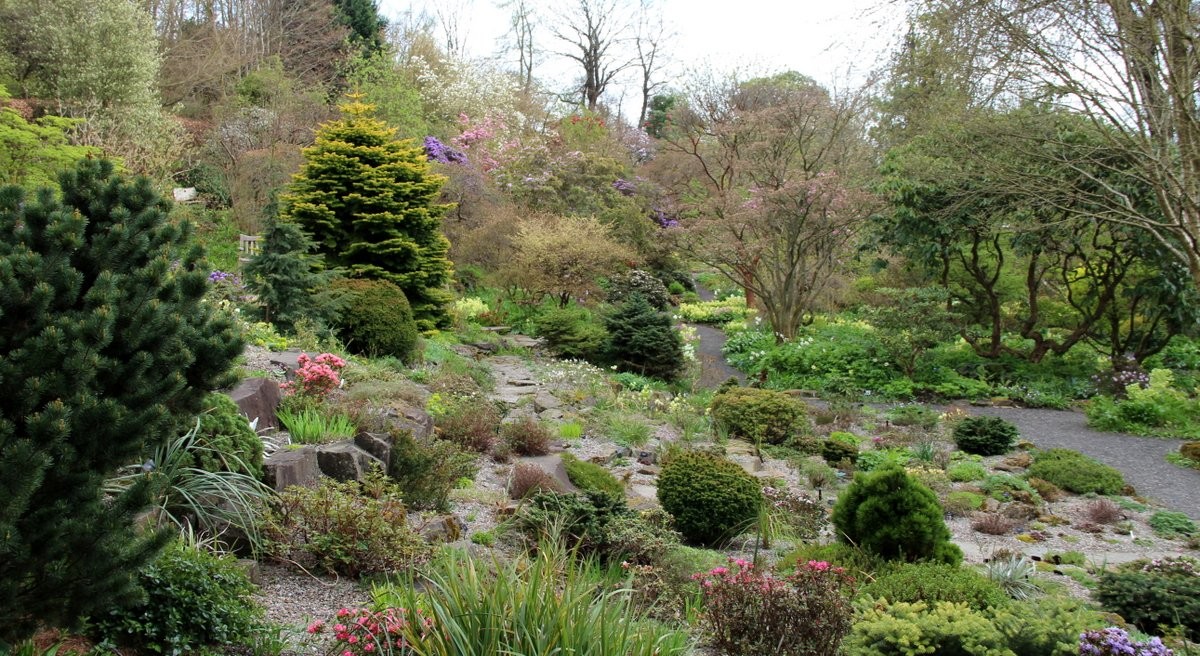Scotland for Gardeners Branklyn ground cover May 2013 VG (5)