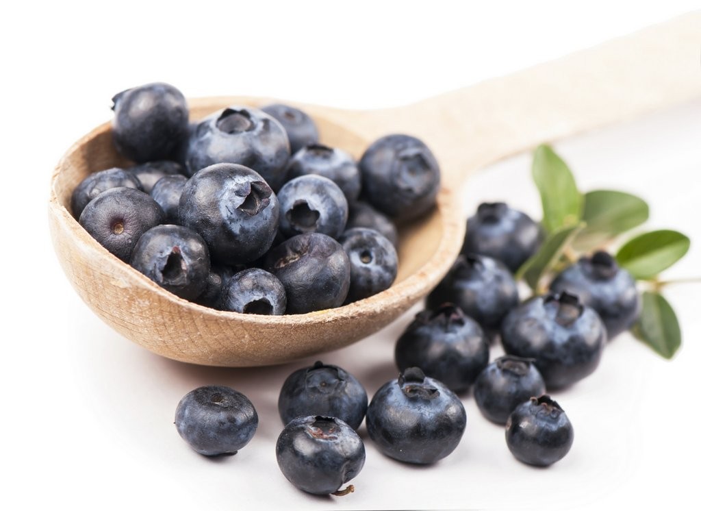 Fruit and Veg blueberry white back shutterstock_204471337