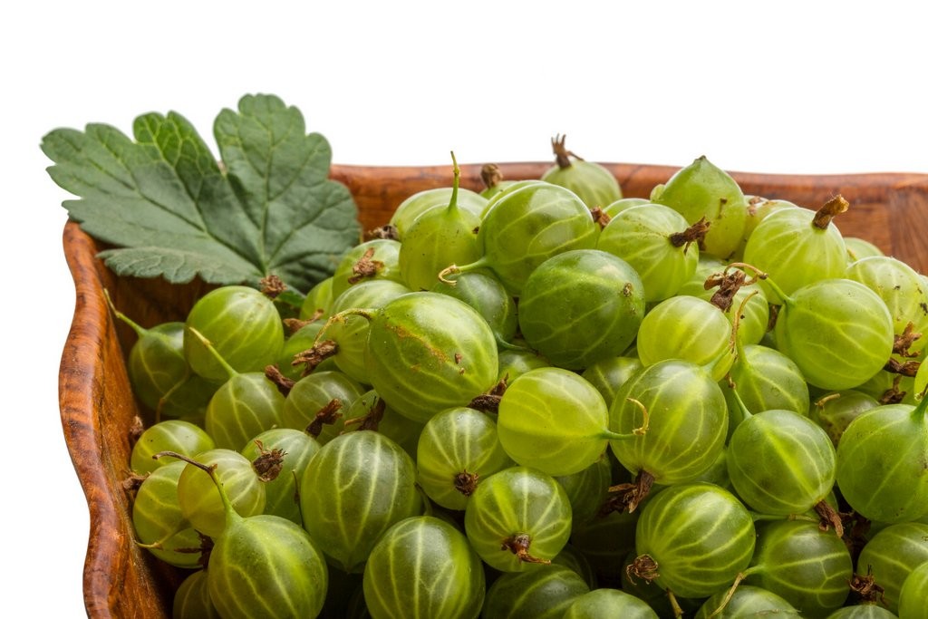 Fruit and Veg gooseberries shutterstock_232512781