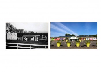 Glendoick Garden Centre  50 Years    1973 to 2023