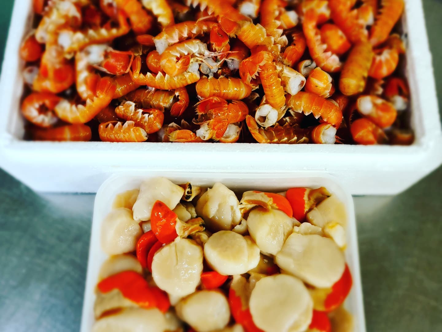 Langoustine & Scallops